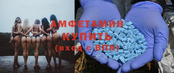 шишки Алексеевка
